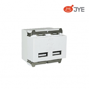 Ổ cắm USB đôi JY-K1824